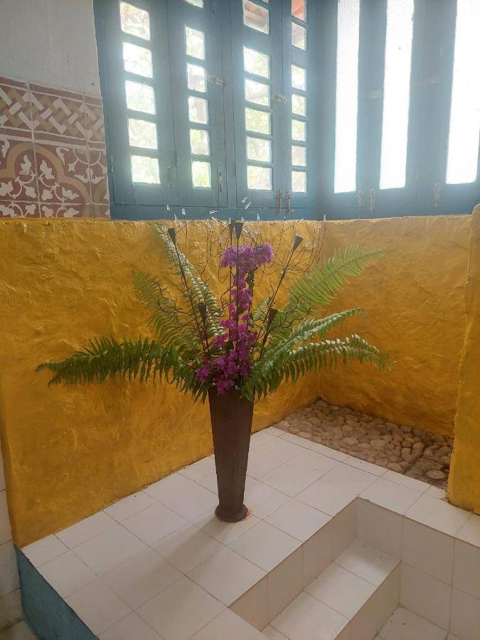Casa Jasmine *